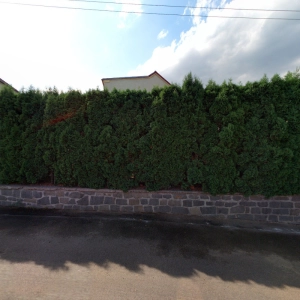 Masáže a duševní poradenství