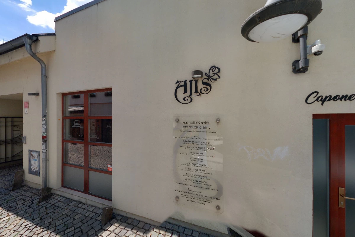 ALIS - obrázek 3