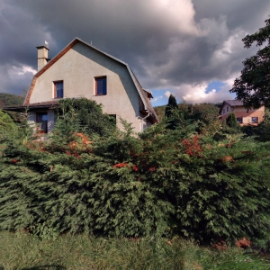 Mgr. Veronika Jurečková