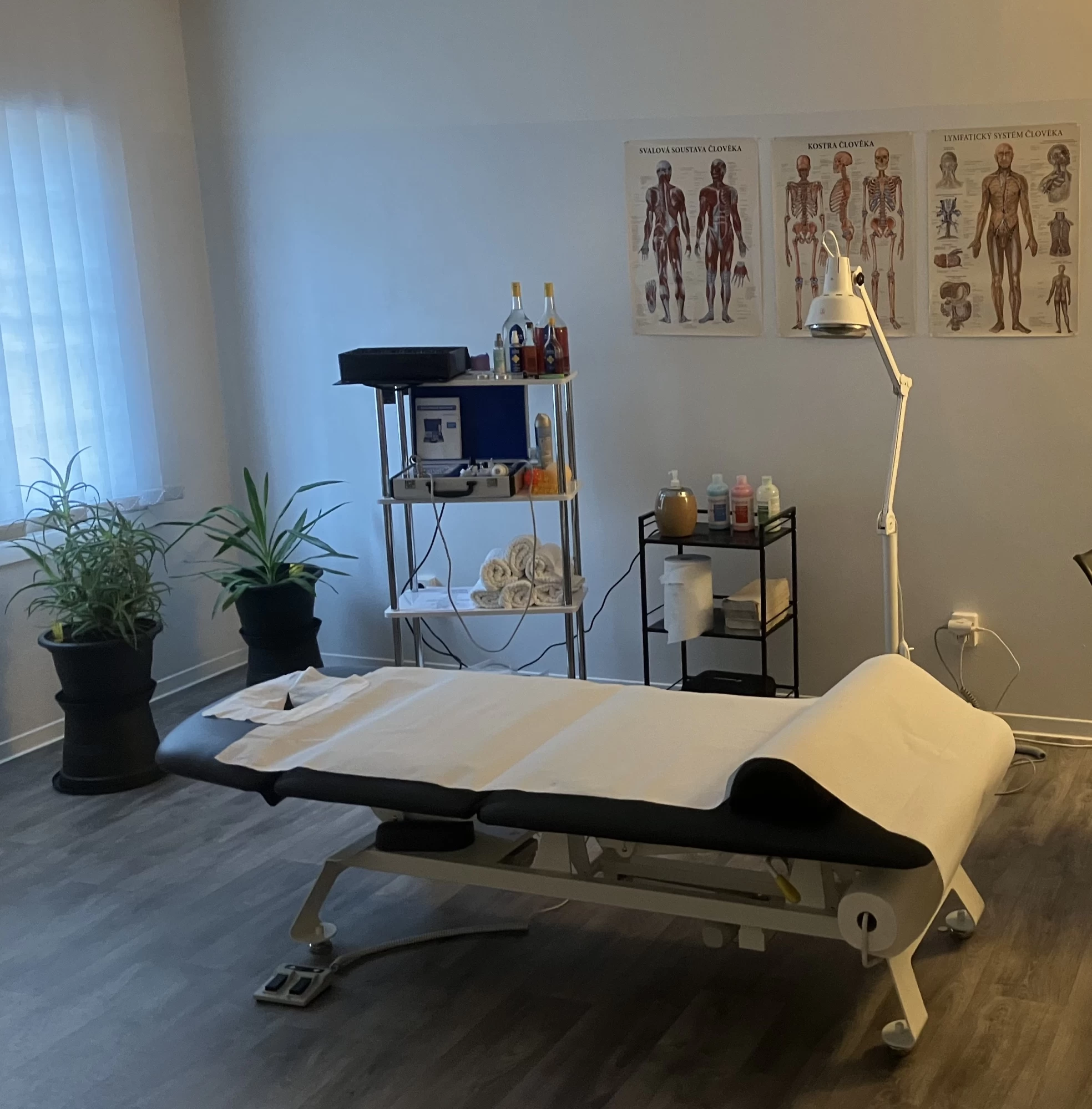 Masáže Plzeň a cvičení SM systém - Daniel Dietl - obrázek 2