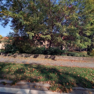 Kosmetika Soňa Ovšáková