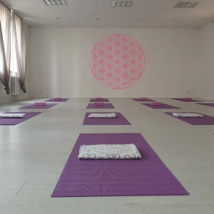 Wholistic Life Center