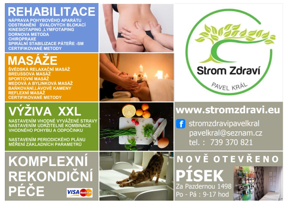 Strom Zdraví - Pavel Král - obrázek 2