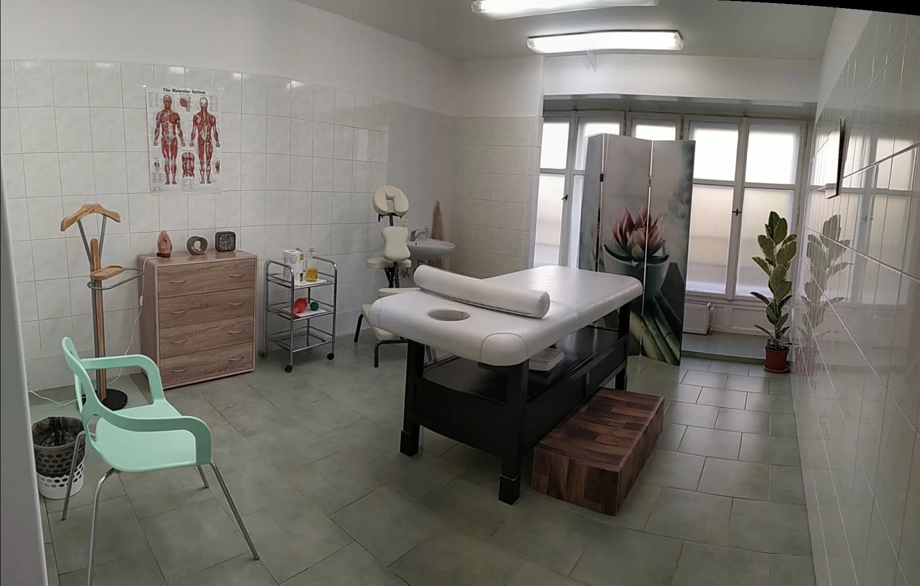 Masážní salon a pedikúra TyfloCentrum Ústí nad Labem o.p.s. - obrázek 2