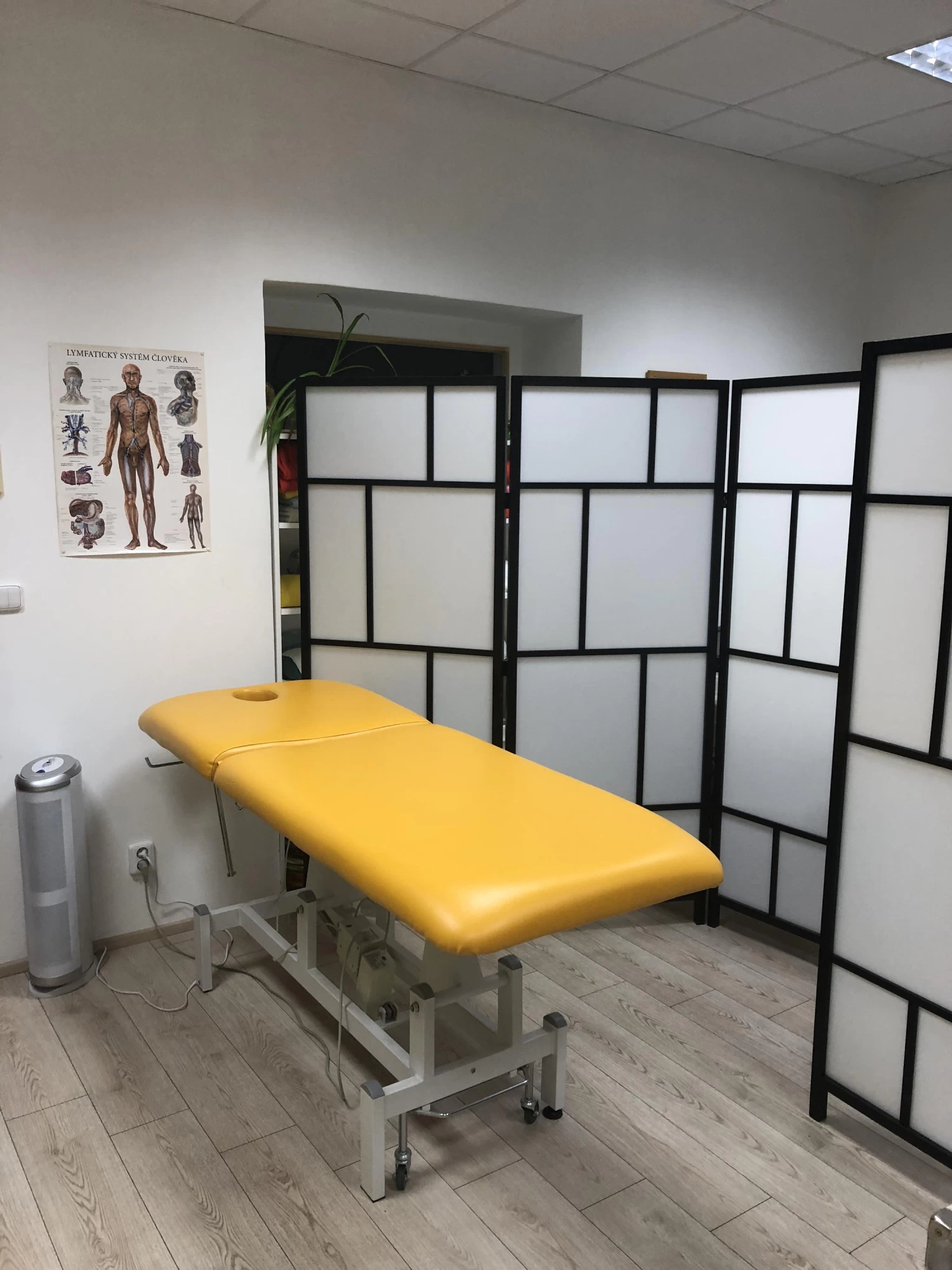 CARPE DIEM  masérské a vzdělávací centrum - obrázek 5