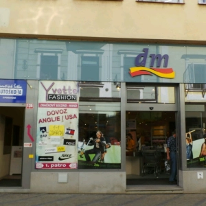 Salonek u slunečnice