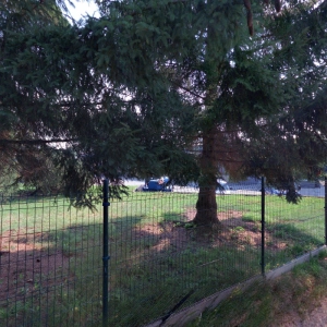 Bc. Tereza Novodárská - MADEROTERAPIE