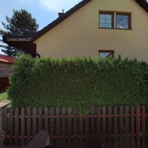 Másáže Šomjaková