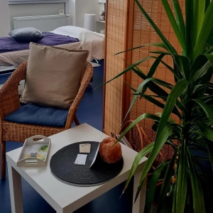 Zen studio