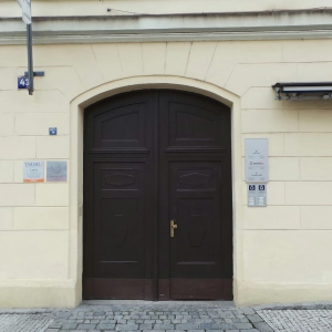 Regenerační studio Dayal - David Heneberg, DiS.