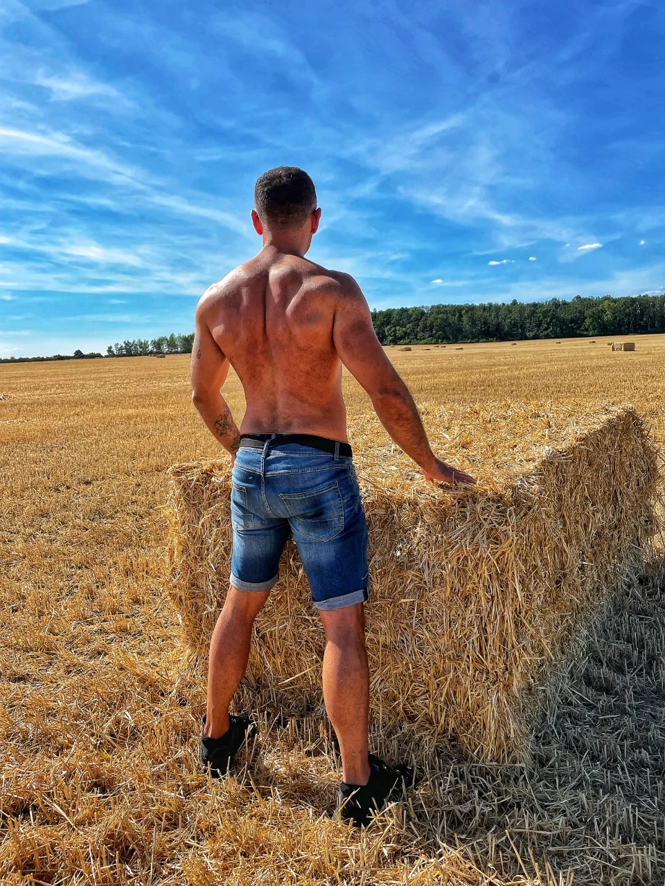 David Severýn poradce výživy a trenér - obrázek 2