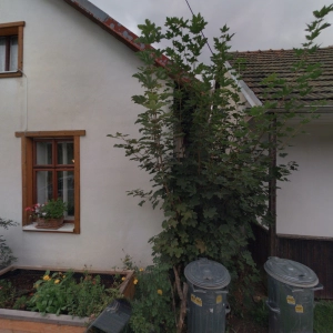 Stanislava Topinková