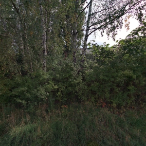 Masáže Marie Hrůzová