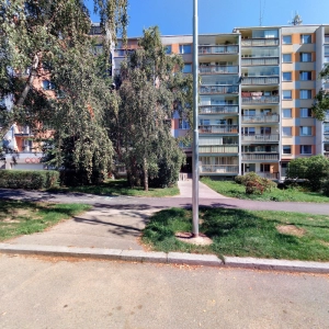 Šárka Gregorová, DiS.