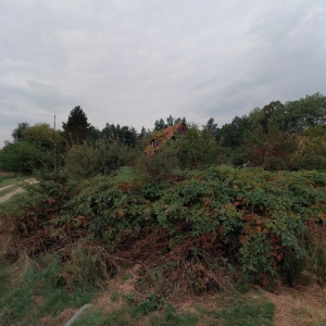 Masáže Lukáš Žákovčík