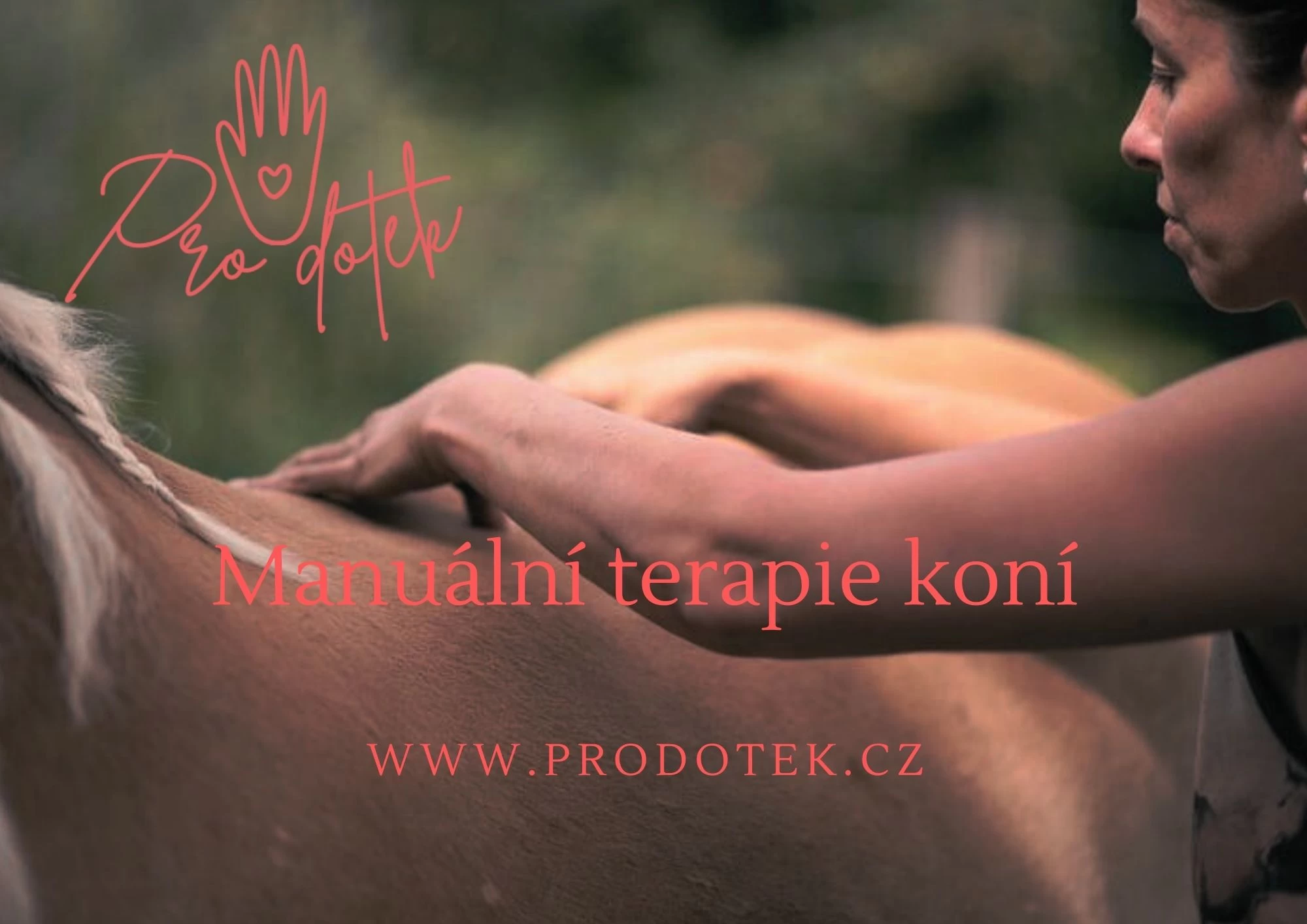 Pro dotek - obrázek 3
