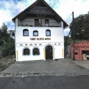 Božena Effenbergerová