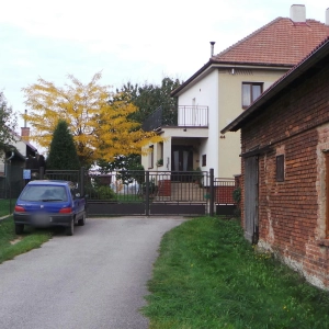 Hortenzie