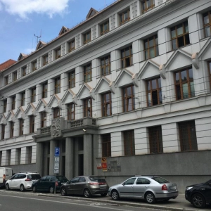 PhDr. Mgr. Abdulkarim Al Fadhli Ph.D., MBA, MediClinic a.s.