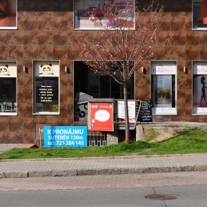 Mgr. Michala Doleželová