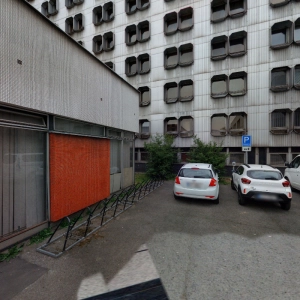 Daniela Hasalíková