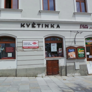 Masáže Romana Řidkošilová