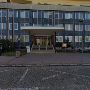 Vladislava Daňková - Diamond