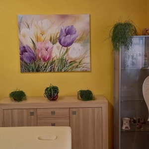 Masáže Hana Hájková