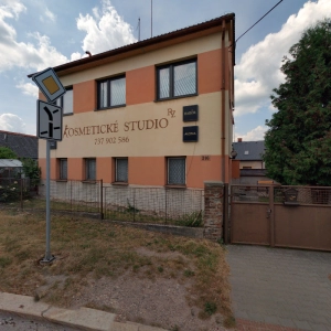 Renata Procházková