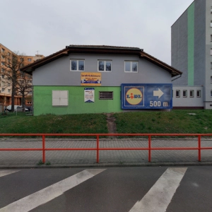 Jana Runge Endlerová