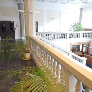 Cesta rovnováhy - Mgr. Martin Kudláček