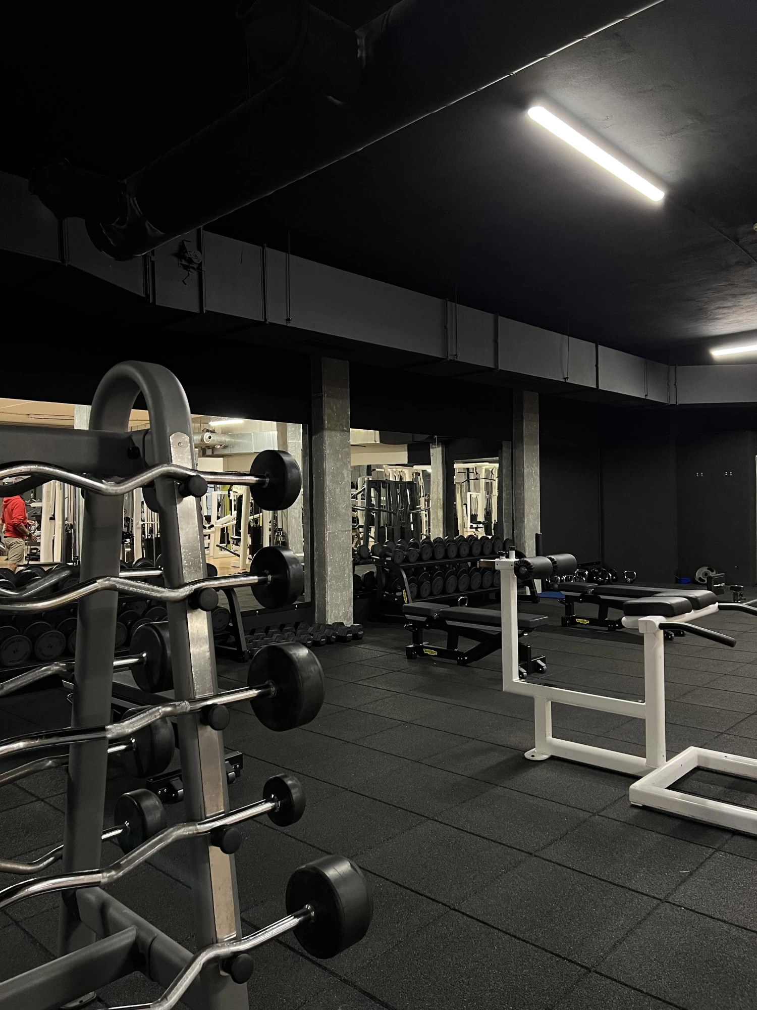 210 Gym - obrázek 2