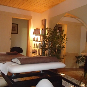 Petr Dobrovský - Harmonizace a regenerace organizmu