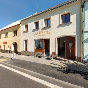 Tradiční čínská medicína - Veronika Sofie Brahma