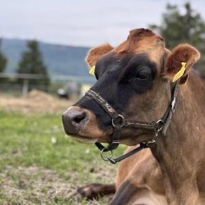 Kateřina Mocko Srpová