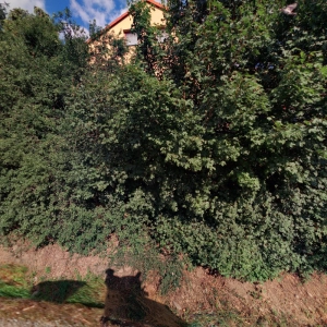 Magdalena Popelková - masáže